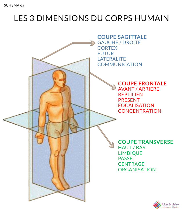 Processus